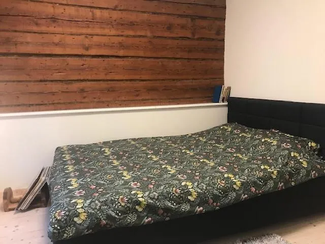 Hubane Korter Kalamajas 公寓 塔林